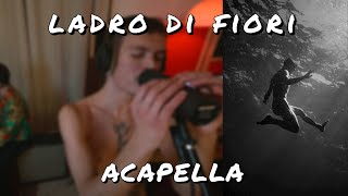 ladro di fiori  ACAPELLA prodFSKurgan Official [upl. by Carmel]