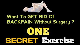 Best Low Back Pain Relief Exercise  Sciatica Pain Relief Stretch [upl. by Maurilia]