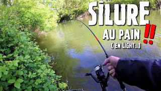 Pêche du SILURE au pain en LIGHT   Cest chaud [upl. by Enneles]