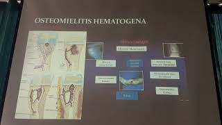 OSTEOMIELITIS y ARTRITIS SÉPTICA  infecciones ap locomotor  TRAUMATOLOGÍA [upl. by Hsac]