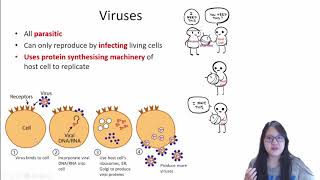 Chapter 13d  Viruses  Cambridge ALevel 9700 Biology [upl. by Campos]