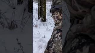 Minnesota deer hunt HUGE 8 point swamp buck first deer [upl. by Constanta]