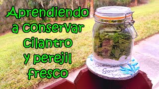 Aprendiendo a conservar cilantro y perejil fresco por Nely Helena Acosta Carrillo [upl. by Daveda]