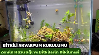 BİTKİLİ AKVARYUM KURULUMU  ZEMİN HAZIRLIĞI VE BİTKİLERİN DİKİLMESİ [upl. by Vish806]