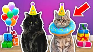 I Threw a BIRTHDAY PARTY For My Elderly CAT [upl. by Roshan]