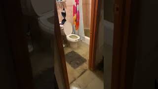 House Gets Flooded With Water Flowing Out of Toilet After Downpour in New York  1239677 [upl. by Harahs150]