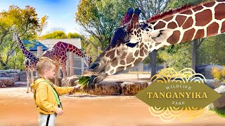 Tanganyika Wildlife Park 🦒 [upl. by Tizes]