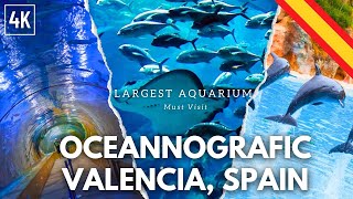 Largest Aquarium in the world  Oceanografic Valencia Spain [upl. by Liuka359]