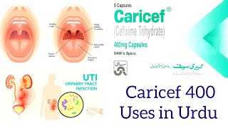 Caricef 400 mg capsules uses in urdu  Caricef capsules [upl. by Eseekram]