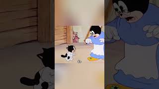 The mice are trained to avoid cats and the kittens are trained to catch mice shorts animation [upl. by Colline]