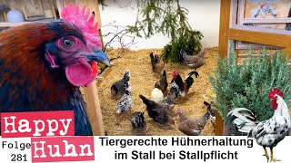 Artgerechte Hühnerhaltung im Stall trotz Stallpflicht Hühner während Vogelgrippe  HAPPY HUHN E281 [upl. by Robinson]