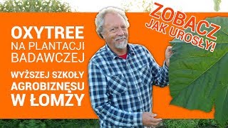 Co na temat Oxytree myślą naukowcy Zobacz relację dr inż Janusza Lisowskiego [upl. by Aivatal]