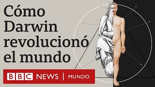 Evolución vs Dios por qué la teoría de Darwin fue revolucionaria  BBC Mundo [upl. by Annoled865]