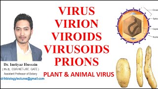 Virus Virion Viroids Virusoids Prions Difference between plant and animal virus [upl. by Daisi]