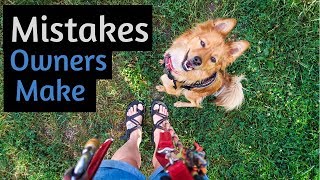 5 COMMON Mistakes New RESCUE DOG OWNERS Make [upl. by Mortimer]