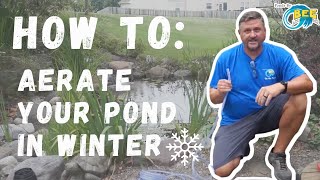 The MOST powerful pond aerator Prep your pond for the WINTER [upl. by Xuerd]