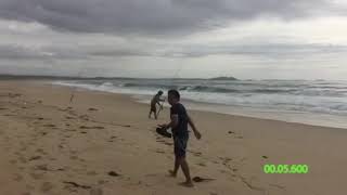 BIG Salmon VLOG Video white ting and Flathead Fishing Windang Beach Wollongong early morningtime [upl. by Ohcamac]