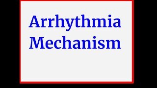 Arrhythmia mechanism [upl. by Irrep257]