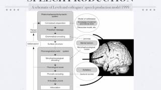 Psycholinguistics Speech Production [upl. by Carey964]