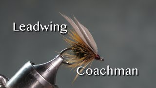 Leadwing Coachman from Favorite Flies and Their Histories 1892 by Mary Orvis Marbury [upl. by Bar]