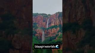 Nellore udayagiri waterfall’s 🌊trending nature waterfall shortfeed viralvideo shorts [upl. by Buckie]