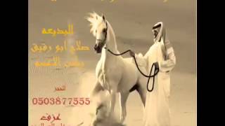 دحيه بدويه فرقة الجنوب للدحيه 2015 صلاح ابو رقيق و ركن الاعسمناار 3 [upl. by Mack]