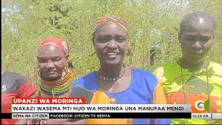 Wakulima katika eneo la Kaputir Turkana kusiniwameanzisha miradi ya upanzi wa mti wa Moringa [upl. by Wolsky]