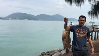 Kerapu 4kg Rockbund Fishing Chalet Lumut Perak March 2018 [upl. by Irneh]