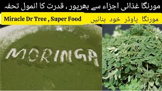 Moringa Powder  Drumstick Leaves Powder  How To Make Moringa Powder [upl. by Lasiaf234]