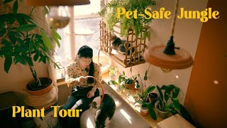 Pets amp Plants  Which of your houseplants are PETSAFE 🌱 PlantTour Petfriendly [upl. by Tibbitts519]