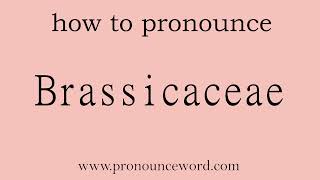 Brassicaceae How to pronounce Brassicaceae in english correctStart with B Learn from me [upl. by Etteve]