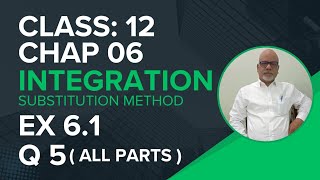 Class 12 Mathematics  Chap 6  integration substitution method  Ex 61  Q 5  all parts   Hindi [upl. by Aneras]