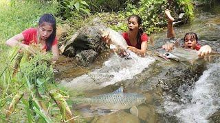 Survival in forest Catch two big fish for food Cooking fish for lunch Catch grasshopper for food [upl. by Marlow]