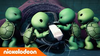 TMNT  Le Tartarughe Ninja in versione cuccioli  Nickelodeon Italia [upl. by Icram]