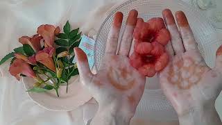 ASMR ☆ Hand Exfolian Care 🫴 Hand Massage [upl. by Kahaleel]