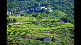 Intervista a Mamete Prevostini dellomonima cantina valtellinese [upl. by Essilec]