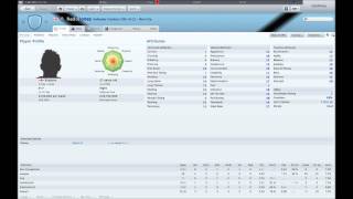 Football Manager 2011 Wonderkids Part 2 [upl. by Nner]