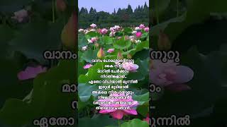 📝Lyrical song malayalam മലയാളികളുടെ ഇഷ്ട ഗാനങ്ങൾ ❤️shortsmusicsongentertainmentviraltrending [upl. by Bremer95]