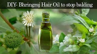 Hair Regrowth Oil  Antibaldness Oil  Bhringaraj Hair Oil  How to Prepare Herbal Hair Oil at Home [upl. by Tamanaha]