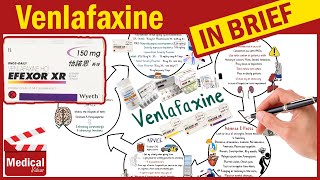 Venlafaxine Effexor XR 150 mg What is Venlafaxine Used For Dosage Side Effects amp Precautions [upl. by Suoicul368]