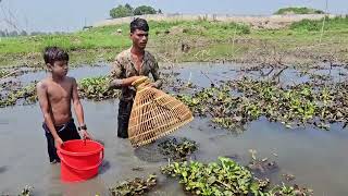 Fish HuntingAwesome fishing skillcatching big catfgish by bangladeshi fishing trap [upl. by Bolitho]