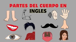 Las partes de cuerpo en INGLES  Learn Body Parts Vocabulary [upl. by Gilbertson]