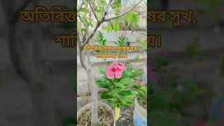 অতিরিক্ত চিন্তা মানুষের সুখ শান্তি কেঁড়ে নেয়। foryou [upl. by Garrek]