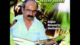 Aşık Ali Nurşani  Canımızı Yakanların Deka Müzik [upl. by Adnoma]