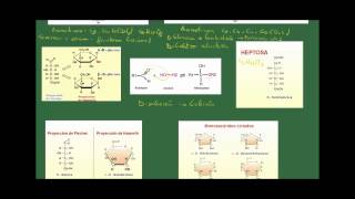 Biología 2 Bachillerato Tema 2 Los glúcidos Apartado 2 Los monosacáridos [upl. by Lavery104]