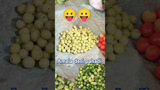 Desi pahadi amala youtubeshortsviralshort [upl. by Neicul272]