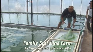 Family Spirulina Algae Farm in France • 2002 [upl. by Kenzi]