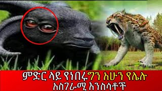 ምድር ላይ የነበሩ ግን አሁን የሌሉ አስገራሚ እንስሳቶች  Amazing animals in the world ethiopia Ab Tube [upl. by Marinna]