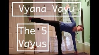 The 5 Vayus 5 VYANA VAYU Practice LauraGyoga [upl. by Dreher]