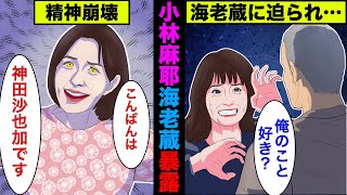 【実話】小林麻耶が海老蔵のヤバい過去を暴露！内容をわかりやすくアニメで解説！【アニメ】 [upl. by Aylad]